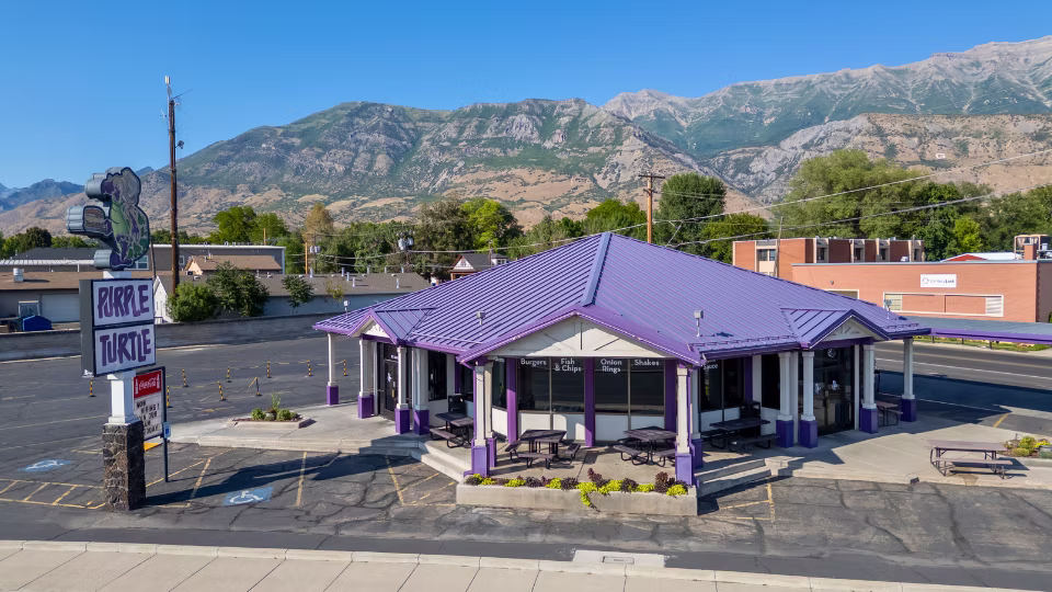 purple_turtle_aerial-02(960X540)