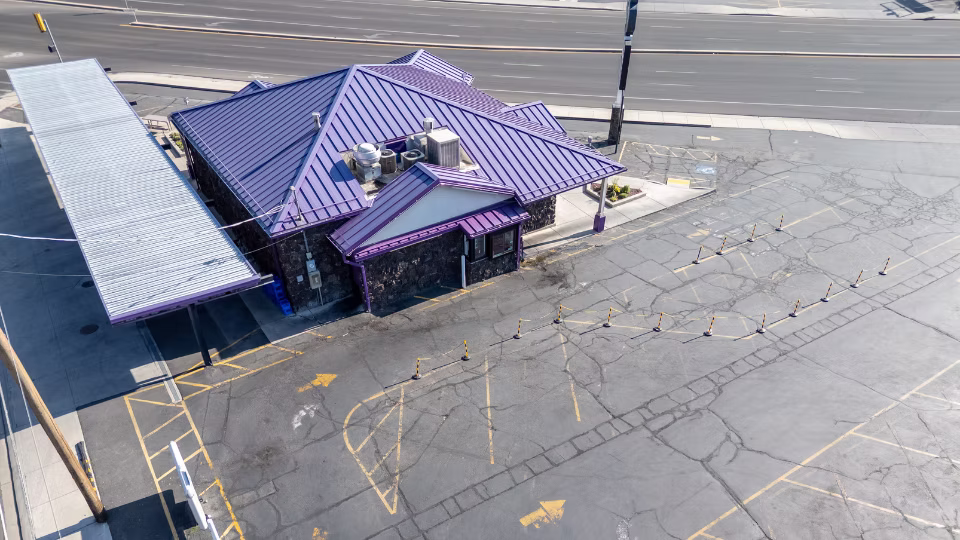 purple_turtle_aerial-04(960X540)